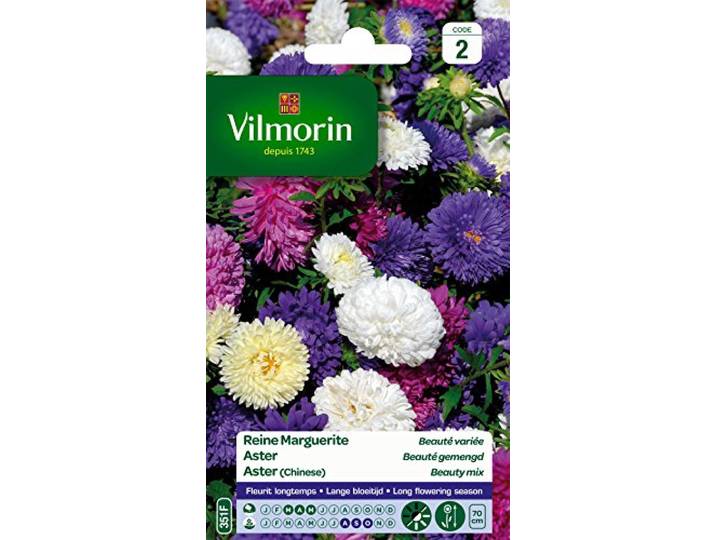 Vilmorin 5703442 Koningin Madeliefje, meerkleurig, 90 x 2 x 160 cm