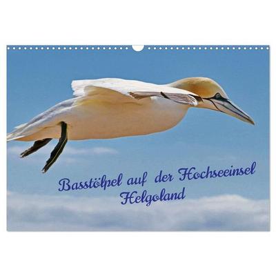 Basstölpel auf der Hochseeinsel Helgoland (Wandkalender 2027 DIN A3 quer), CALVENDO Monatskalender