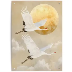 Outdoor Poster MOON CRANES (BH 56x78 cm) - bunt - BH 56x78 cm