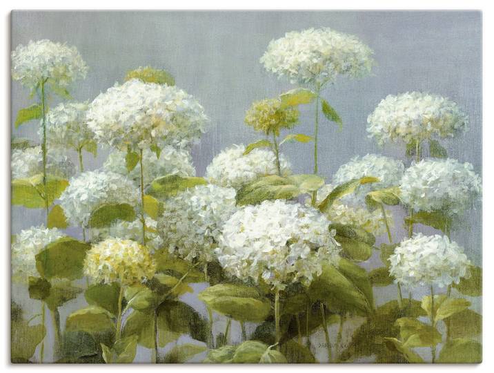 Wandbild ARTLAND Weisser Hortensien Garten , weiss (farbe bild(er): weiß), B:40cm H:30cm, Bilder, Wandbild, als Leinwandbild, Poster in verschied. Grössen