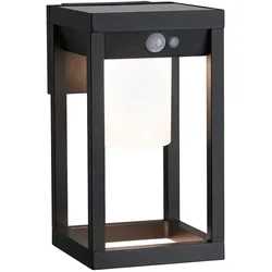 Paulmann Solar LED Außenwandleuchte Marisol Bewegungsmelder IP44 3000K 350lm Schwarz 94572