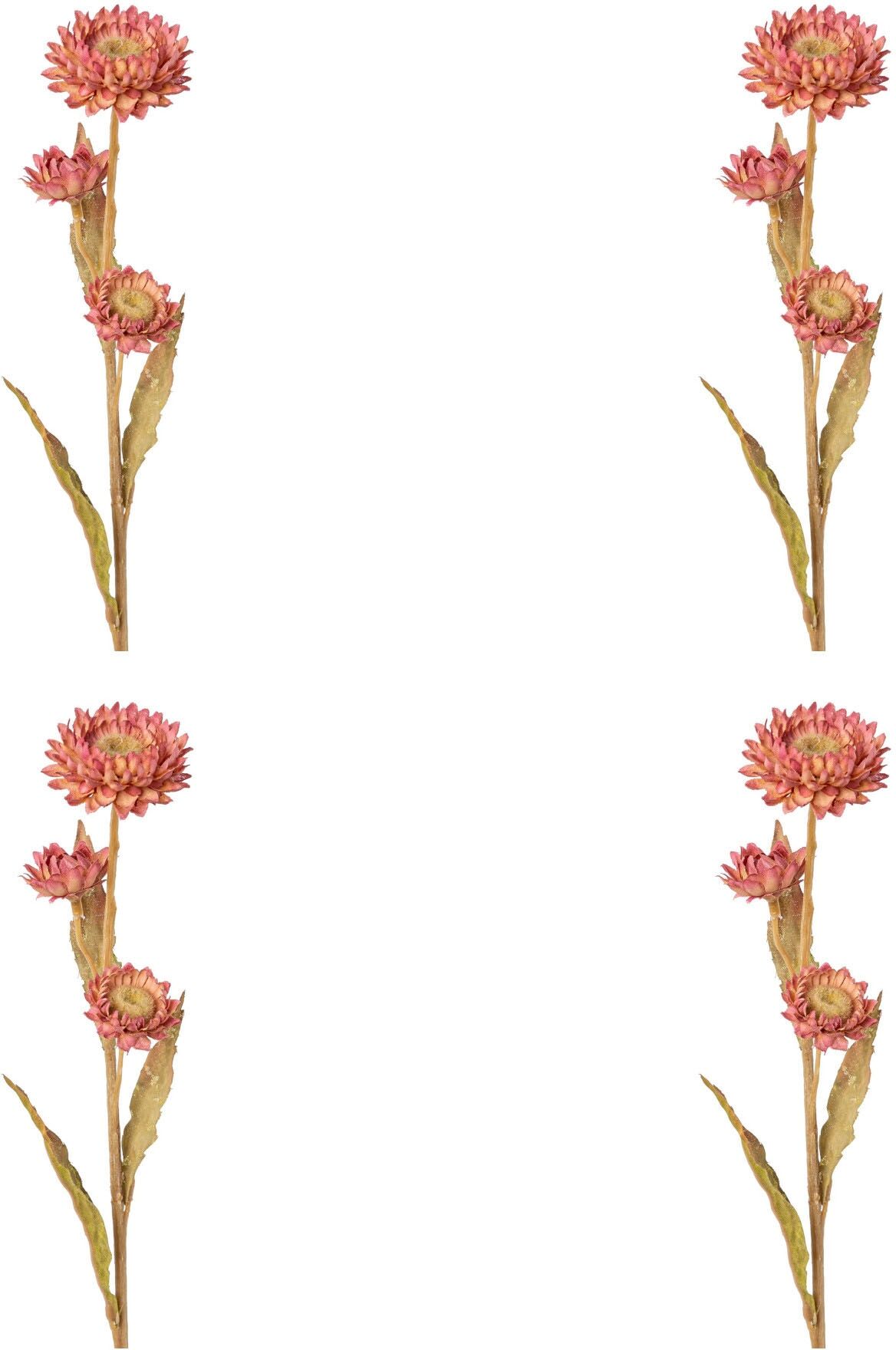 Kunstblume CREATIV GREEN "Strohblume", rosa, H:61cm, Obermaterial: 95% Polyethylen, 5% Polyester, Kunstpflanzen, Kunstblume
