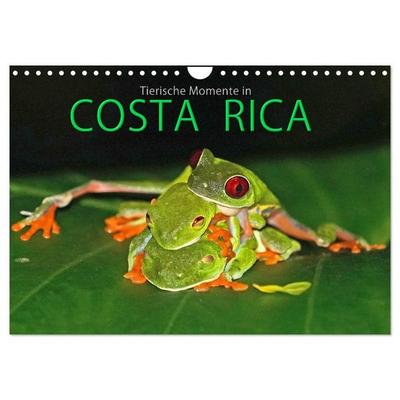 COSTA RICA - Tierische Momente (Wandkalender 2027 DIN A4 quer), CALVENDO Monatskalender
