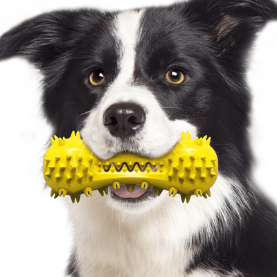 United Bite Resistant Dog Toothbrush Toy Molar Stick For Medium And Large Dogs yellow