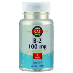Vitamin B2 Riboflavin 100 mg Kal 60 ST
