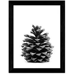 POSTER Pinecone – Schwarz-Weiß A3 Rahmenlos