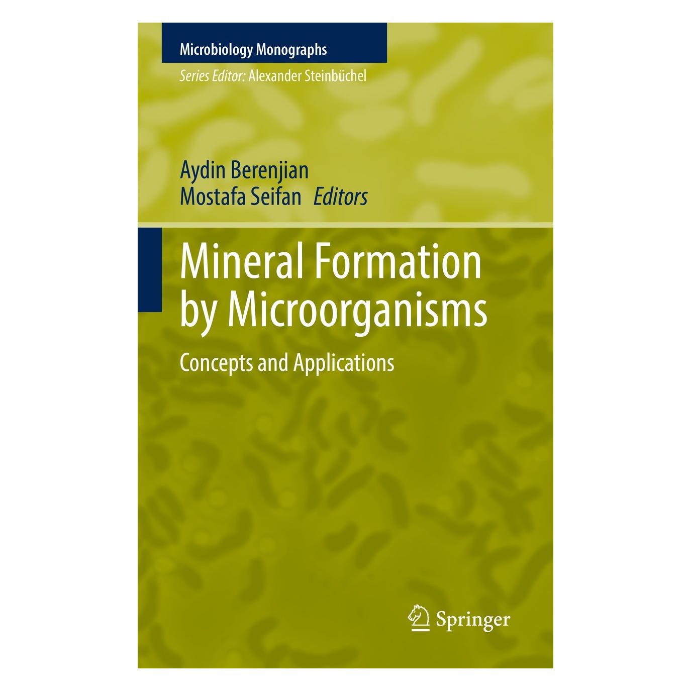 Springer Mineral Formation by Microorganisms (Aydin Berenjian, Mostafa Seifan, Englisch) (9783030808068)