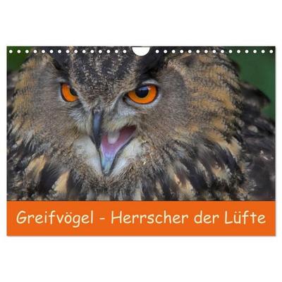 Greifvögel - Herrscher der Lüfte (Wandkalender 2027 DIN A4 quer), CALVENDO Monatskalender