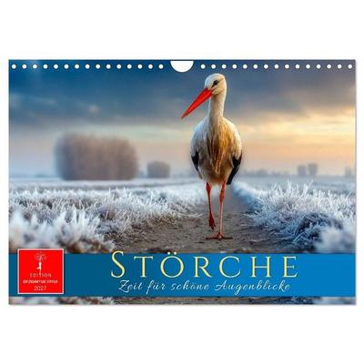 Störche - Zeit für schöne Augenblicke (Wandkalender 2027 DIN A4 quer), CALVENDO Monatskalender