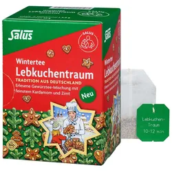 SALUS Lebkuchentraum Bio Filterbeutel 15 St