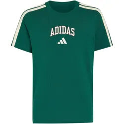 adidas Collegiate Graphic T-Shirt Kinder KE1639 - collegiate green 176