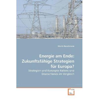 Buschmann, M: Energie am Ende: Zukunftsfähige Strategien für, Taschenbuch von Moritz Buschmann, VDM, 978-3-639-19350-3