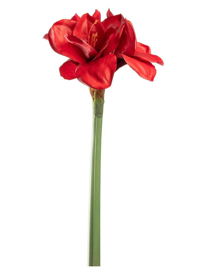 LEONARDO Kunstpflanze ''Autentico'' in Rot - (L)55 cm - onesize