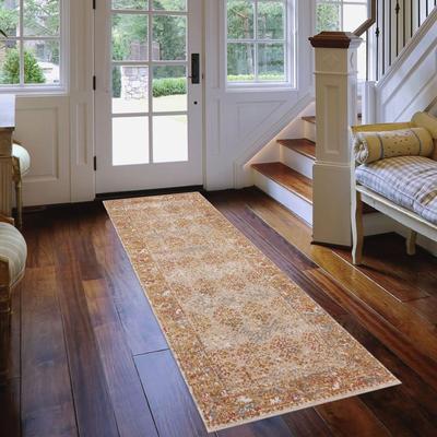 Amer Rugs Ethereal Vintage Bordered Area Rug
