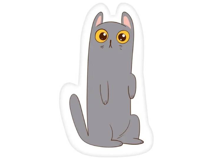 Katten sierkussen gevormd