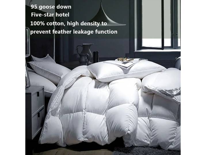 Couette en duvet d'oie de qualité supérieure, résistante au froid, moelleuse, 100% coton, housse d'hiver, insert de athlon avec languette d'angle, chaleur toutes saisons