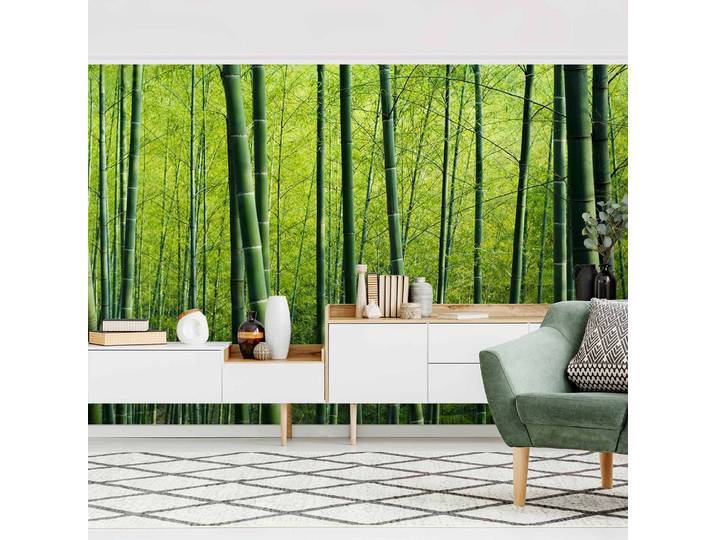 Papier peint intissé Forêt de bambous 432 x 290cm 432 x 290 cm