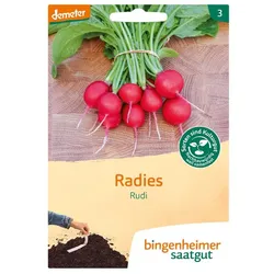 Radies - Rudi