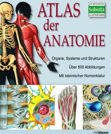 Atlas der Anatomie: Der menschliche Körper und seine Systeme: Organe, Systeme und Strukturen - Preis vom 14.10.2026 23:07:16 h