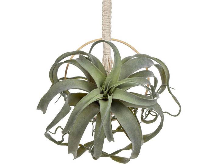 Kunstpflanze Hängend Sukkulente mit Baumwollseil, Grün, Naturmaterialen, 30 cm, Dekoration, Blumen & Blumentöpfe, Kunstpflanzen