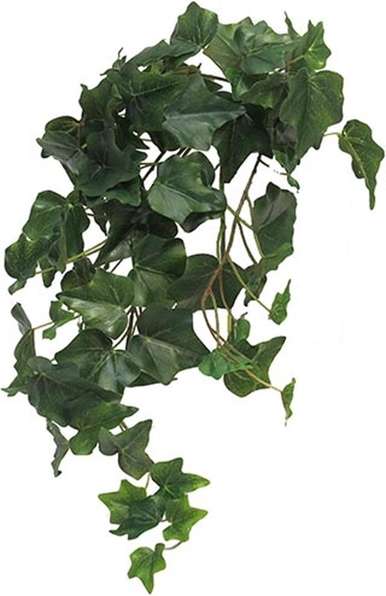 Erutan Avon Ivy Chicago M kunsthangplant, groen