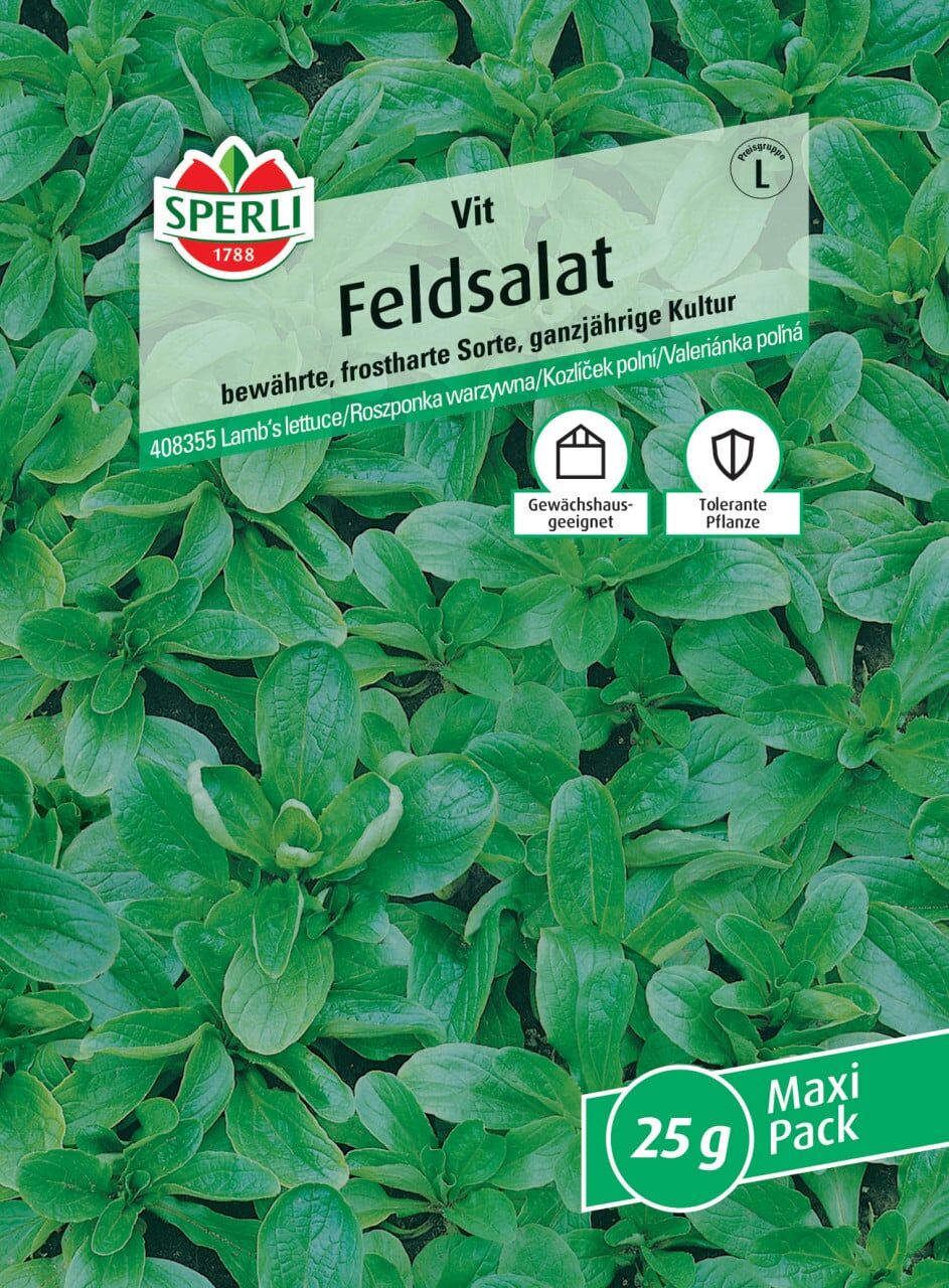 Sperli Feldsalat Vit MaxiPack 20g