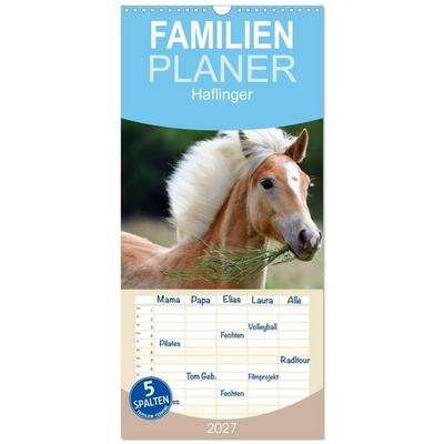 Familienplaner 2027 - Haflinger mit 5 Spalten (Wandkalender, 21 x 45 cm) CALVENDO