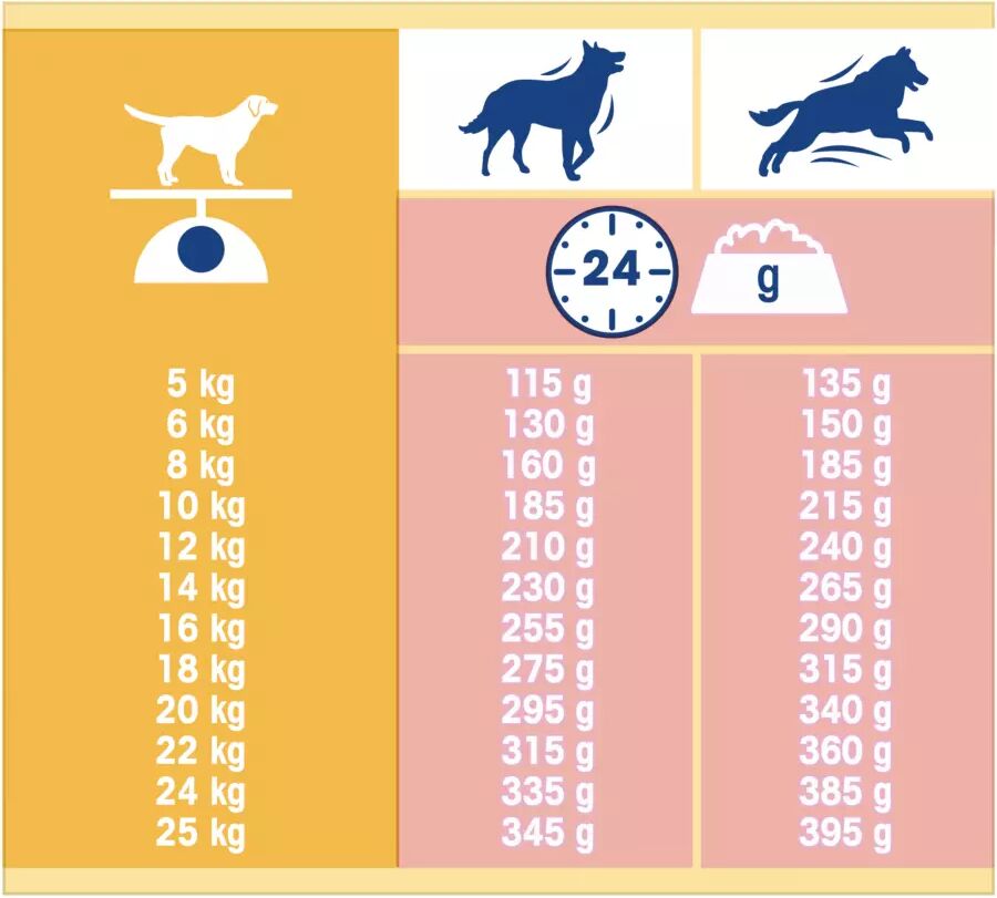 Purina DOG CHOW CLASSIC SALMONE 10KG IT