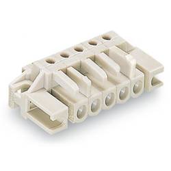 WAGO 722-243/047-000 Federleiste 25 St.