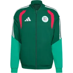 adidas FAF Algerien Präsentationsjacke WM 2026 Herren JZ0214 - team dark green XL