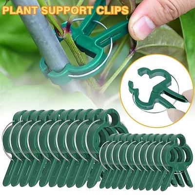 20 Stück Pflanzenstützclips Blumen- und Weingarten-Tomatenpflanzen-Stützclips zum Stützen von Stängeln, Reben wachsen aufrecht kletternd