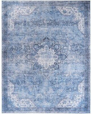 Nourison Washables Indoor only Persian Area Rug