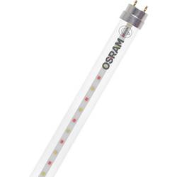 OSRAM LED-Pflanzenlampe LED TUBE T8 18 EM FLUORA 600 mm 6.6W 604.00 mm G13 6.6 W Warmweiß Röhrenform 1 St. 4099854178115