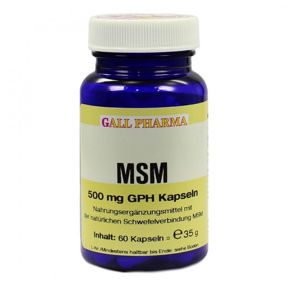 Hecht-Pharma GmbH Msm 500 mg Gph Kapseln 04411668