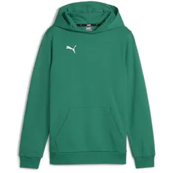 PUMA teamGOAL Casuals Hoodie Jungen 05 - sport green/puma white 164