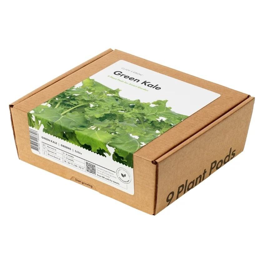Click and Grow Green Kale (Gemüsesamen) (76449145)