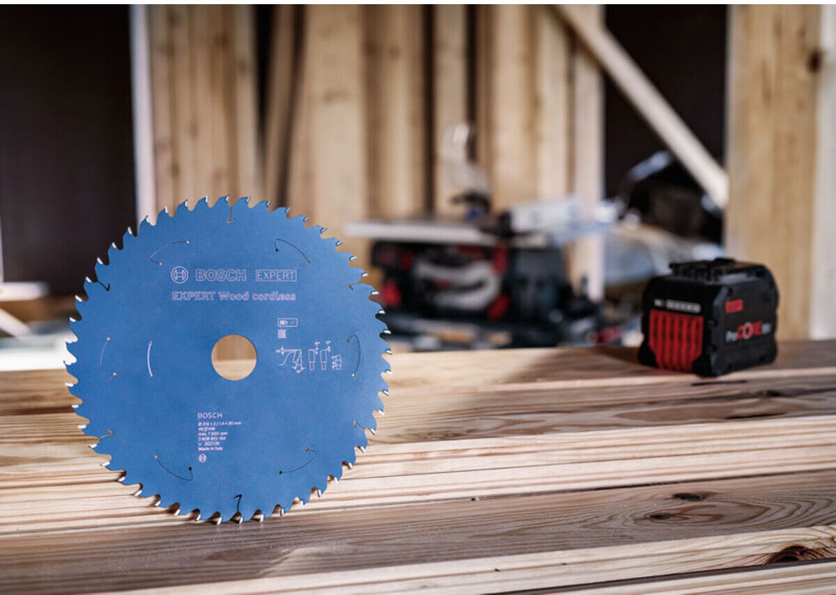 Bosch EXPERT Wood Kreissägeblatt, 254x2,1x30 mm, Z24, Zahnwinkel 25° (2608902175)