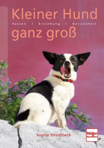Sophie Strodtbeck - Kleiner Hund ganz groß: Rassen . Erziehung . Verhalten . Gesundheit - Preis vom 09.10.2026 07:28:09 h
