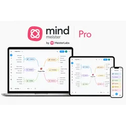 MindMeister Pro