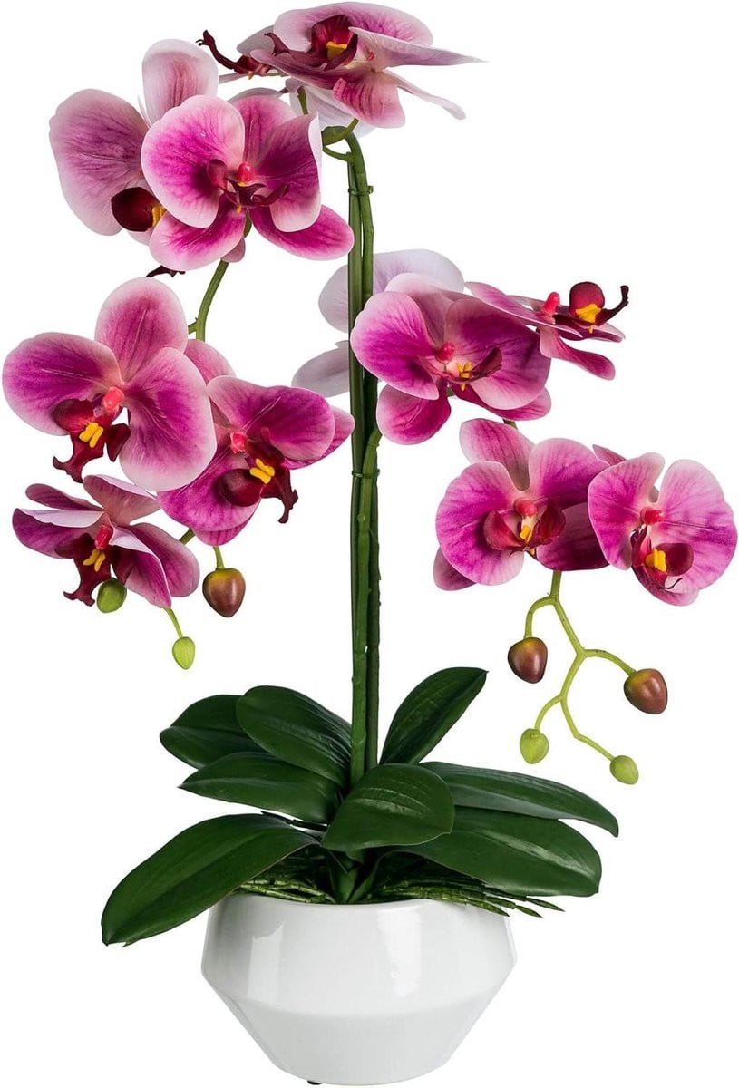 Paarse Kunstorchidee Phalaenopsis met pot - 52 cm