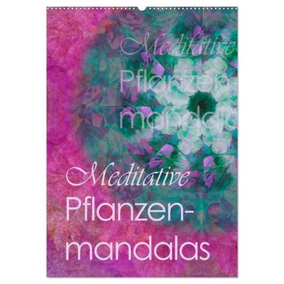 Meditative Pflanzenmandalas (Wandkalender 2026 DIN A2 hoch), CALVENDO Monatskalender