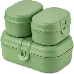 Pascal Ready Organic Lunchboxen mini hellgrün 3 El.