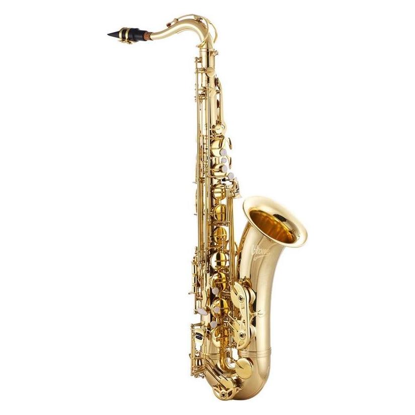 V-TONE TS 100 Tenorsaxophon mit Koffer-Set (Saxophon, Gebogen) (5908249807938)