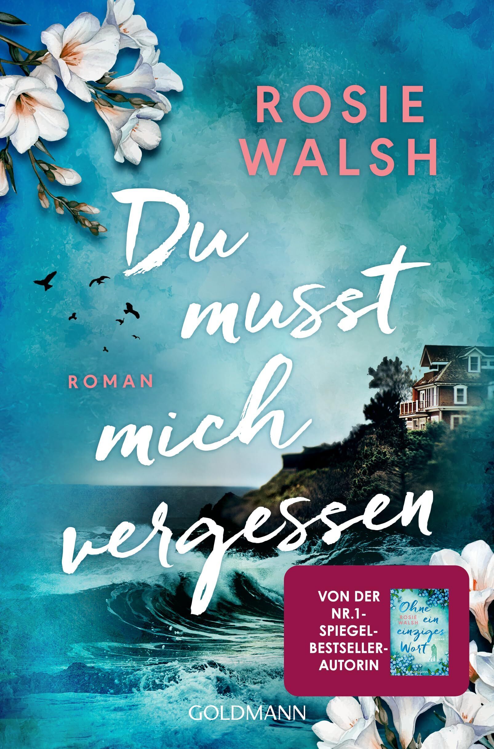 Rosie Walsh - Du musst mich vergessen - Preis vom 09.10.2026 07:28:09 h