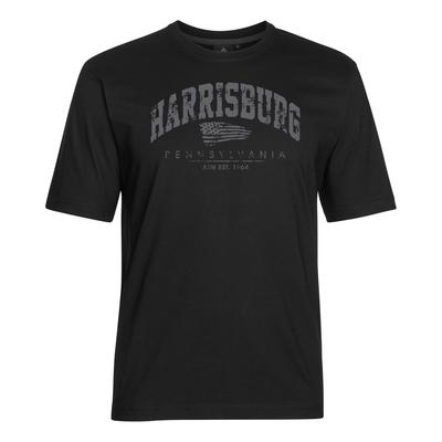 T-Shirt AHORN SPORTSWEAR "HARRISBURG", Herren, Gr. 7XL, schwarz, 100% Baumwolle, bedruckt, normal, Rundhals, Shirts T-Shirt, mit modischem Print