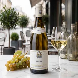 Domaine Philippe Girard Rully Blanc 2023 - Weißwein trocken - Burgund, Frankreich