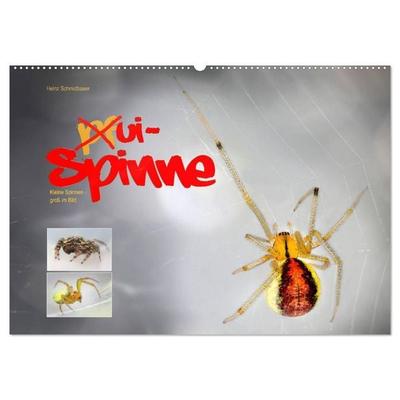 ui - Spinne. Kleine Spinnen - groß im Bild (Wandkalender 2027 DIN A2 quer), CALVENDO Monatskalender