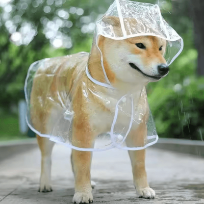 Uplift Curations Transparent Hooded Dog Raincoat Waterproof Pet Rainwear Jacket For Small Dogs & Puppies white s