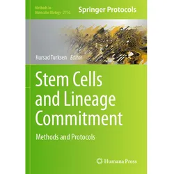 Stem Cells and Lineage Commitment, Fachbücher von Kursad Turksen
