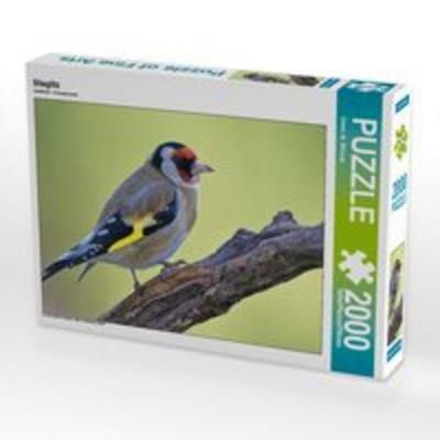 CALVENDO Puzzle Stieglitz 2000 Teile Puzzle quer | 2000 Teile Lege-Größe 90 × 67 cm Foto-Puzzle für glückliche Stunden